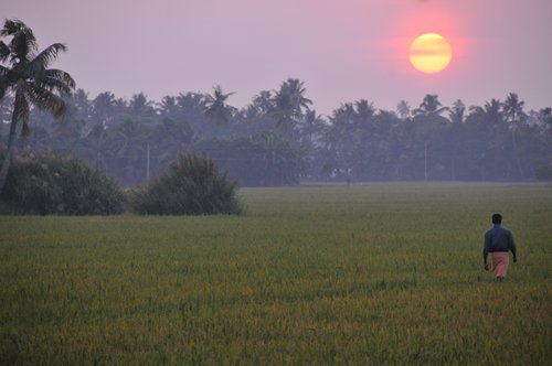 Kerala